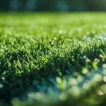 Terrains synthétiques : dangers et précautions pour footballeurs